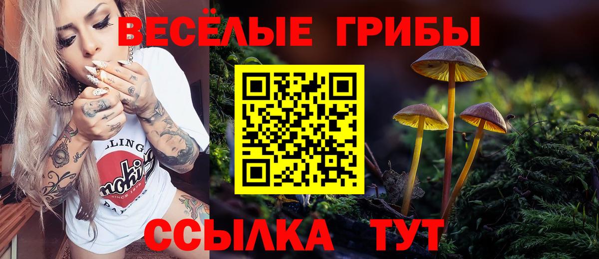 Галлюциногенные грибы мухоморы  Галлюциногенные грибы MAGIC MUSHROOMS  Ярославль  Вход с VPN 